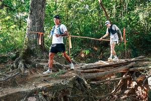 BIB: 
                            <button type="button" onclick="openModal(27552734)" class="btn btn-primary btn-sm float-right btn-popup" data-toggle="modal" data-target=".modal-high-quality">
                        <i class="fas fa-shopping-cart"></i> Add to Cart
                    </button>
                                            <button type="button" onclick="isThisMe(27552734, true)" class="btn btn-success btn-sm float-right btn-popup btn-isme hidden" data-toggle="tooltip" data-placement="bottom" title="นี่คือรูปของคุณใช่ไหม คลิกที่นี่เพื่อเอาเข้าอัลบั้ม">
                        <i class="fas fa-plus"></i> Add to album
                    </button>
                    <button type="button" onclick="isThisMe(27552734, false)" class="btn btn-warning btn-sm float-right btn-popup btn-isnotme hidden">
                        <i class="fas fa-ban"></i> Remove from album
                    </button>